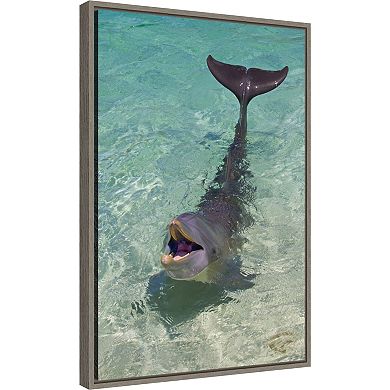 Amanti Art Dolphin Framed Canvas Print
