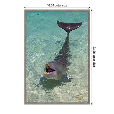 Amanti Art Dolphin Framed Canvas Print