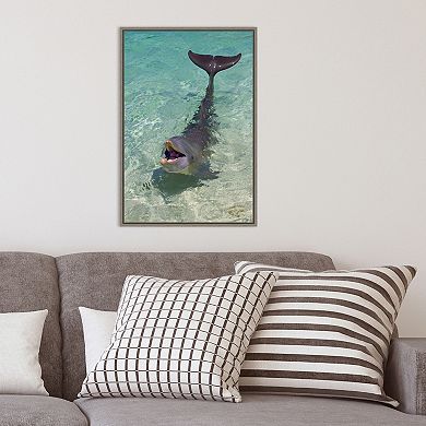 Amanti Art Dolphin Framed Canvas Print