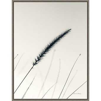 Amanti Art Field Grasses V Framed Canvas Print