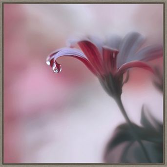 Amanti Art Invisible Touch Framed Canvas Print