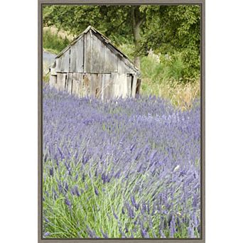 Amanti Art Lavender Field Framed Canvas Print