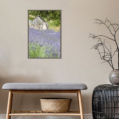 Amanti Art Lavender Field Framed Canvas Print