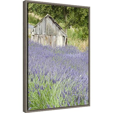 Amanti Art Lavender Field Framed Canvas Print