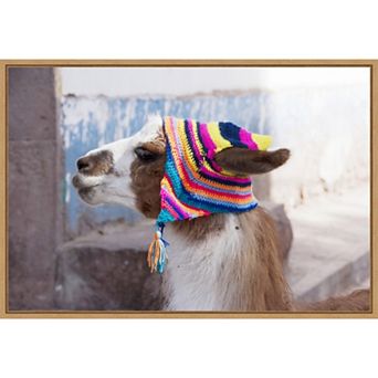 Amanti Art Llama Framed Canvas Print