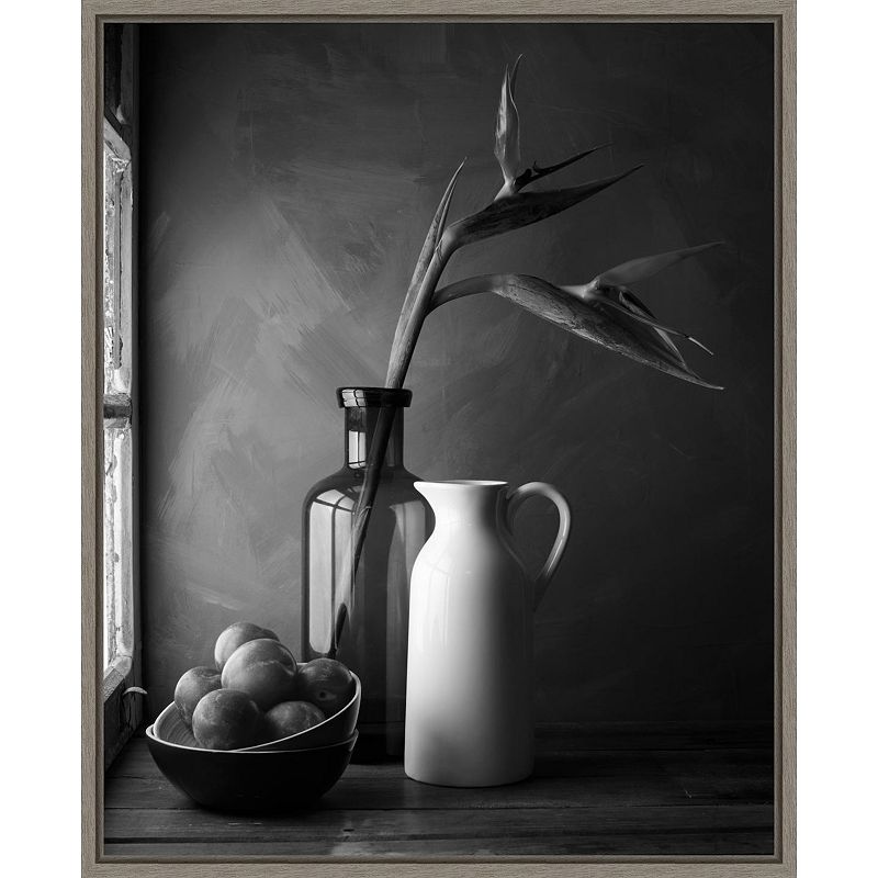 Amanti Art Plums and Jars Still LIfe Framed Canvas Print, Grey, 16X20
