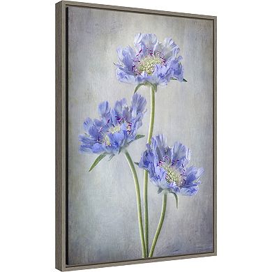 Amanti Art Scabiosa Purple Flower Framed Canvas Print