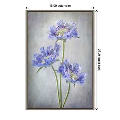 Amanti Art Scabiosa Purple Flower Framed Canvas Print