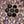 Gold Tone Purple
