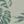 Beige Green