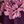 Purple Estelle Floral