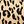 Tan Jana Leopard