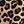 Tan Wild Cheetah