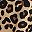 Tan Wild Cheetah