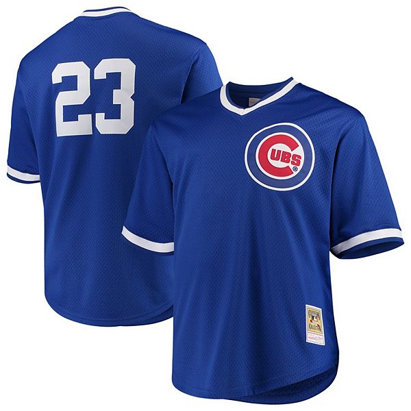 Lids Ryne Sandberg Chicago Cubs Mitchell & Ness Youth Cooperstown  Collection Mesh Batting Practice Jersey - Royal