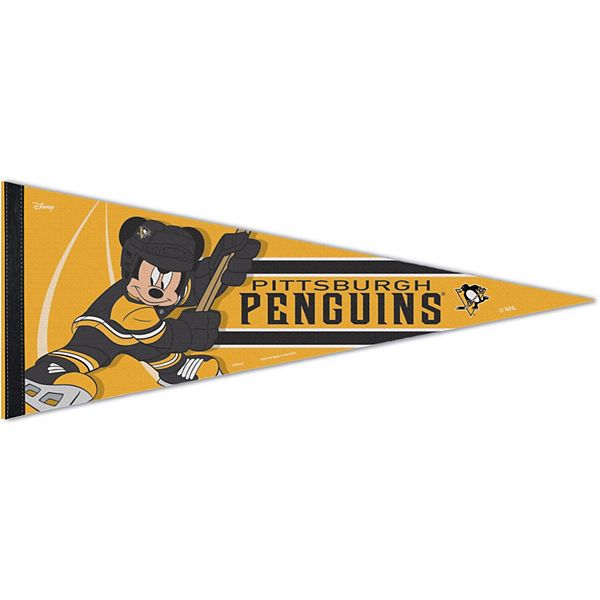 Wincraft Men's and Women's Pittsburgh Penguins Team Rain Poncho