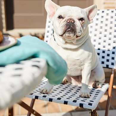 Sonoma Goods For Life French Bistro Folding Chair