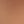 Rose Tan