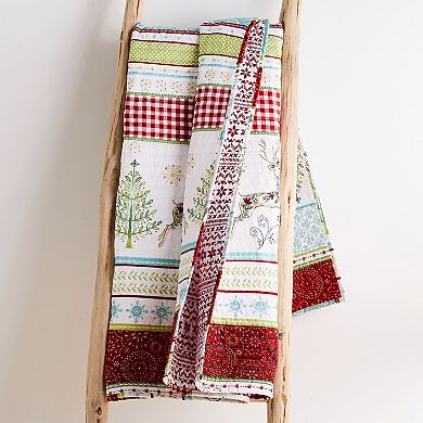 Levtex Home Comet & Cupid Throw Blanket