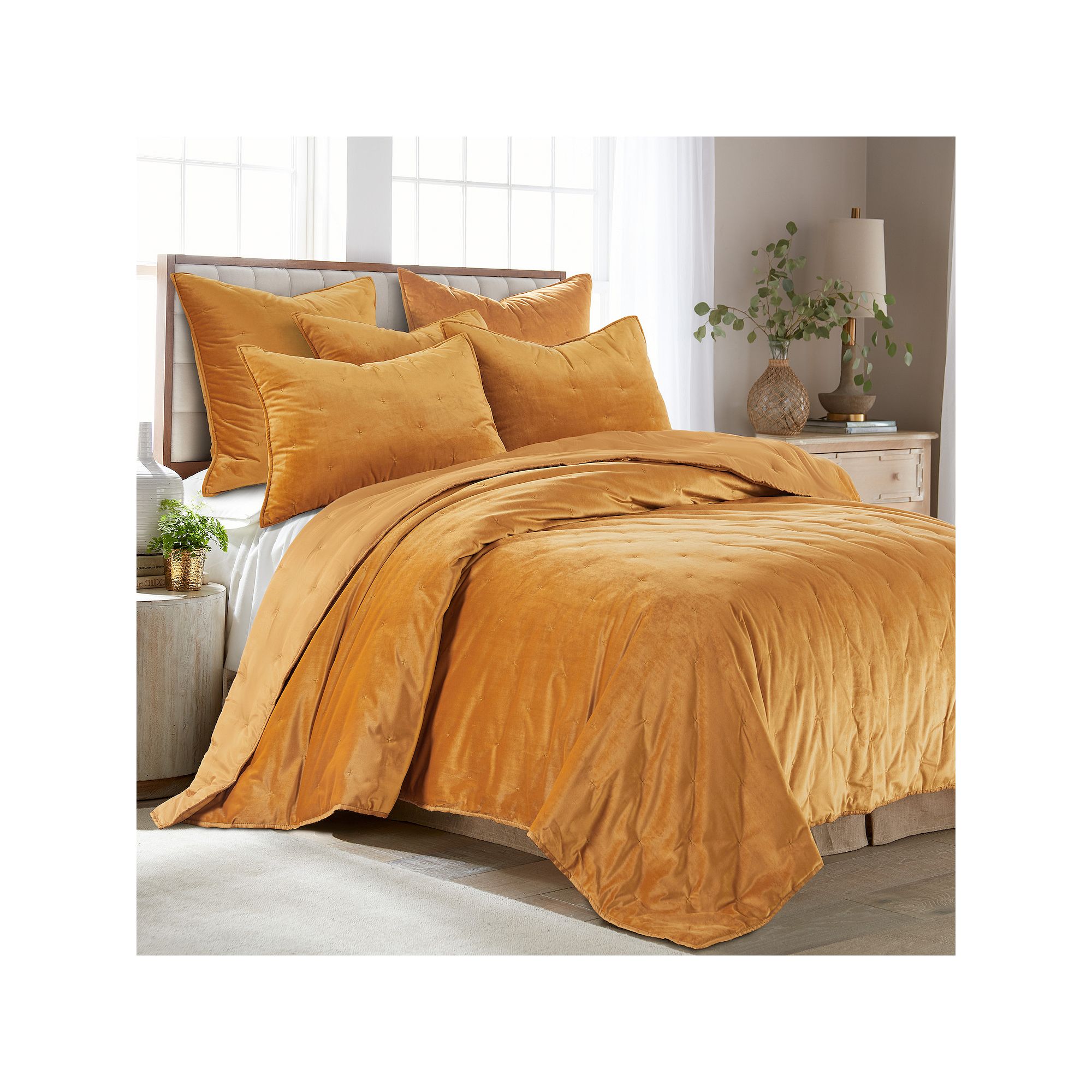 Levtex Home Birch Hill Calabria Velvet Ochre Quilt or Shams, Gold
