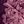 Purple Estelle Floral