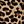 Tan Wild Cheetah