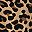 Tan Wild Cheetah