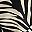 Black Zebra Mid