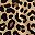 Tan Wild Cheetah