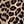 Tan Wild Cheetah