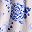 Blue Baraboo Blooms