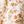 Cream Antique Posy