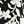 Black Rachelle Floral