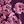 Purple Estelle Floral
