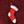 Burgundy Xmas Icons