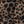 Warm Brown Leopard