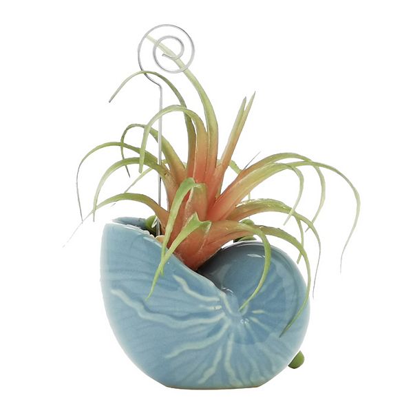 Sonoma Goods For Life® Artificial Plant Shell 1Photo Clip Table Decor
