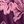 Purple Estelle Floral