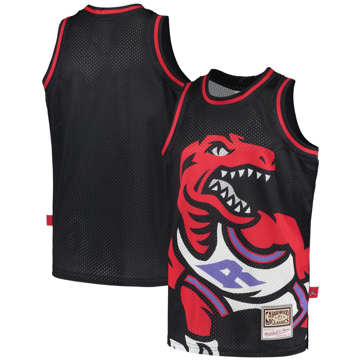 toronto raptors mitchell and ness jersey