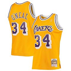 Men's Los Angeles Lakers Nike Purple 75th Anniversary Pregame Shooting  Performance Raglan Long Sleeve T-Shirt