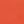 Coral Ocean