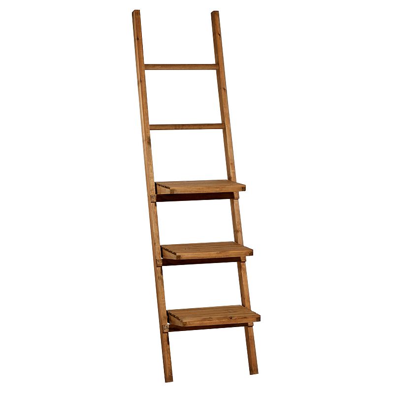 Stella & Eve Leaning Ladder Shelf, Brown