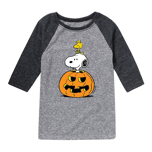 Boys 820 Peanuts Snoopy Woodstock Halloween Raglan Tee