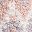 Blush Gray