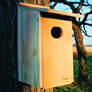 Woodlink WD1 Wood Duck Nesting House Box with 4 x 3-Inch Oval Entrance Hole