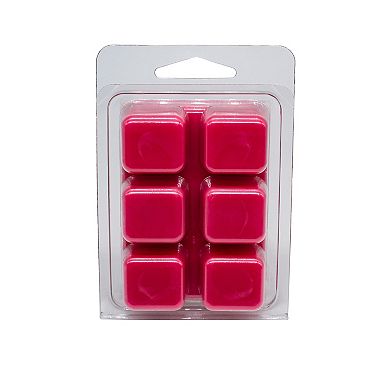 Sonoma Goods For Life 2.5-oz. Watermelon Spritzer Wax Melt 6-piece Set