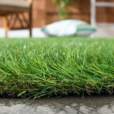 Safavieh Turf Ophelia Indoor Outdoor Rug
