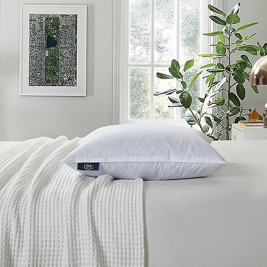 Serta Decorative Medium Firm 2-pack Feather Pillow Insert