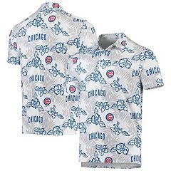 Nike Men's Silver, Royal Chicago Cubs Team Baseline Striped Performance  Polo Shirt - Macy's