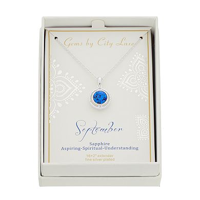 City Luxe Crystal Birthstone Pendant Necklace